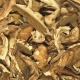 JR Mushrooms image