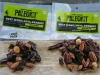 PaleoKit