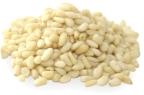 Pinyon Pinenuts