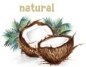 Co Yo Coconut Yogurt